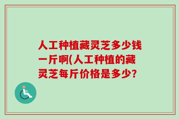 人工种植藏灵芝多少钱一斤啊(人工种植的藏灵芝每斤价格是多少？