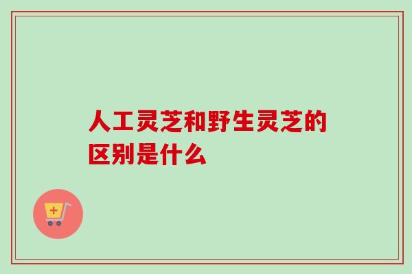 人工灵芝和野生灵芝的区别是什么