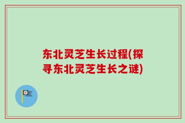 东北灵芝生长过程(探寻东北灵芝生长之谜)