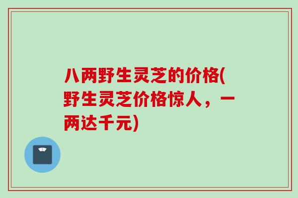 八两野生灵芝的价格(野生灵芝价格惊人,一两达千元) 八两野生灵芝的价格(野生灵芝价格惊人,一两达千元)