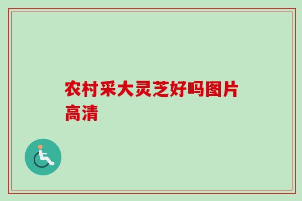 农村采大灵芝好吗图片高清