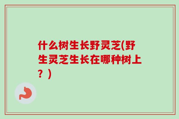 什么树生长野灵芝(野生灵芝生长在哪种树上？)
