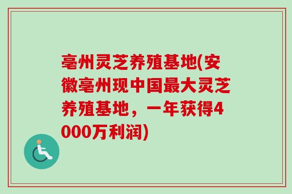 亳州灵芝养殖基地(安徽亳州现中国最大灵芝养殖基地，一年获得4000万利润)