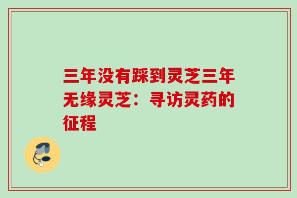 三年没有踩到灵芝三年无缘灵芝：寻访灵药的征程