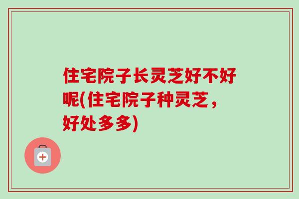 住宅院子长灵芝好不好呢(住宅院子种灵芝，好处多多)