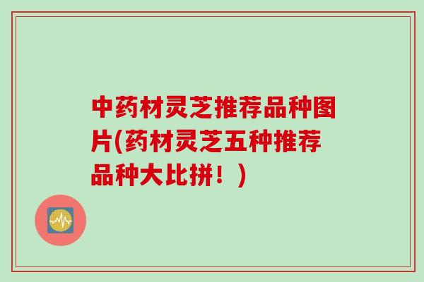 材灵芝推荐品种图片(药材灵芝五种推荐品种大比拼!) 材灵芝推荐品种图片(药材灵芝五种推荐品种大比拼!)