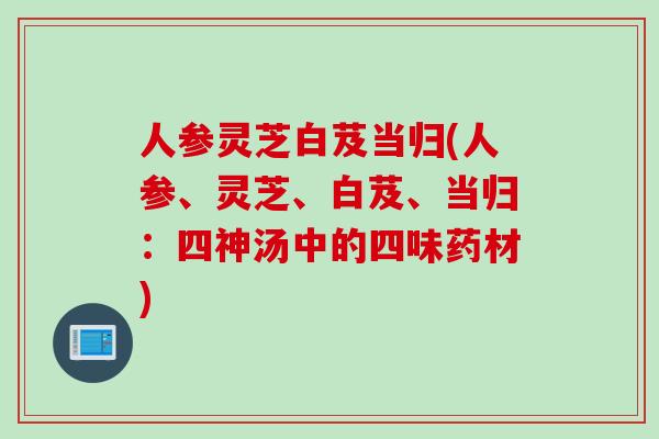 人参灵芝白芨当归(人参、灵芝、白芨、当归：四神汤中的四味药材)