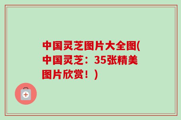 中国灵芝图片大全图(中国灵芝：35张精美图片欣赏！)