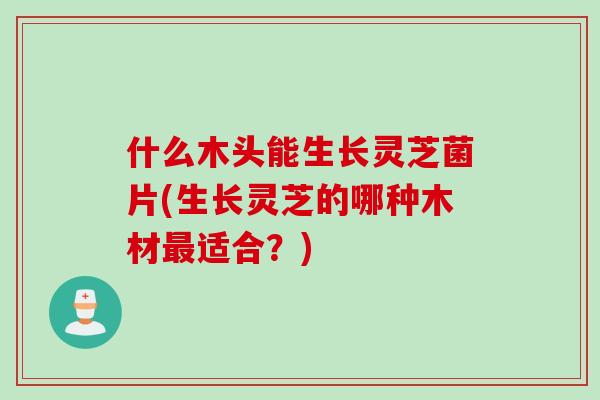 什么木头能生长灵芝菌片(生长灵芝的哪种木材最适合？)