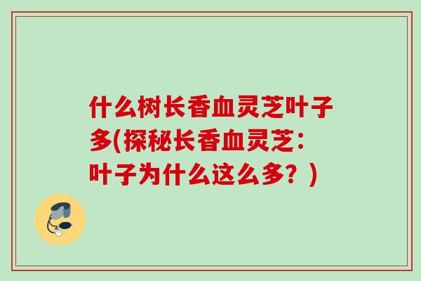 什么树长香血灵芝叶子多(探秘长香血灵芝：叶子为什么这么多？)