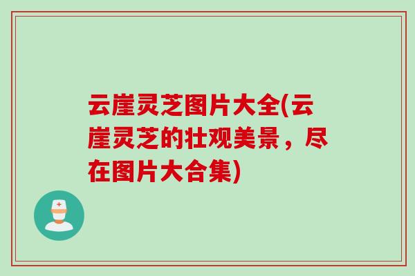 云崖灵芝图片大全(云崖灵芝的壮观美景，尽在图片大合集)