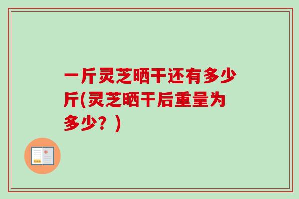 一斤灵芝晒干还有多少斤(灵芝晒干后重量为多少？)