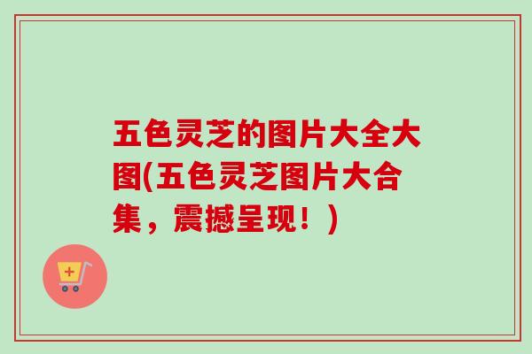 五色灵芝的图片大全大图(五色灵芝图片大合集，震撼呈现！)
