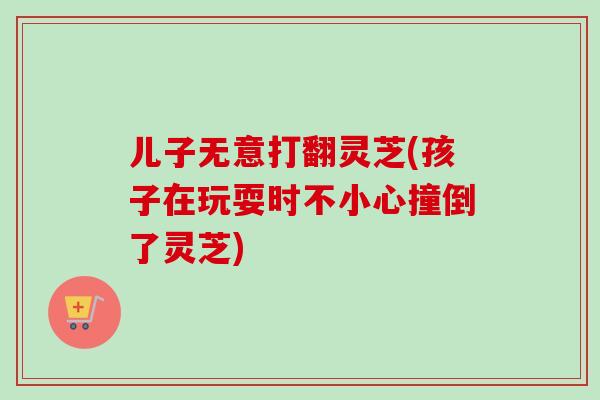 儿子无意打翻灵芝(孩子在玩耍时不小心撞倒了灵芝)