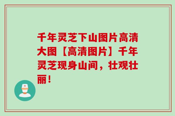 千年灵芝下山图片高清大图【高清图片】千年灵芝现身山间，壮观壮丽！