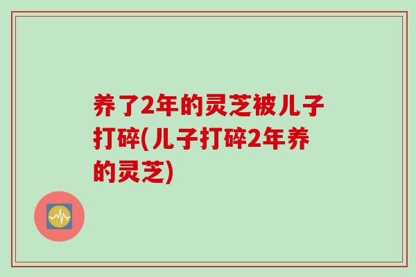 养了2年的灵芝被儿子打碎(儿子打碎2年养的灵芝)