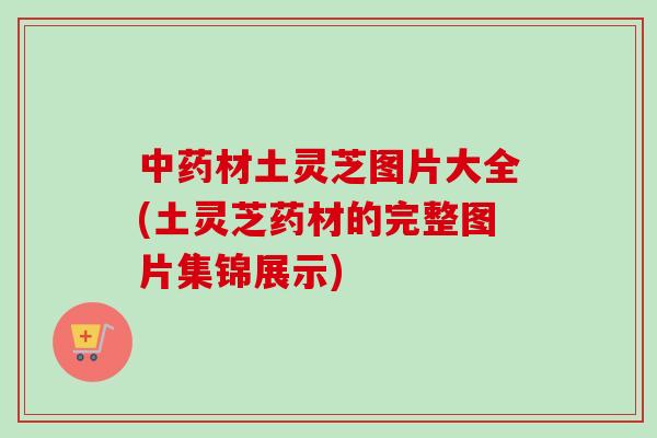 中药材土灵芝图片大全(土灵芝药材的完整图片集锦展示)