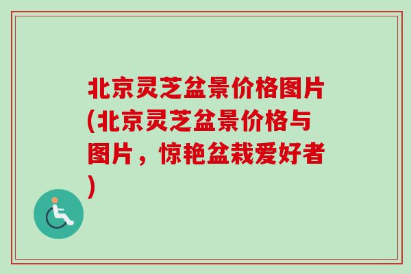 北京灵芝盆景价格图片(北京灵芝盆景价格与图片，惊艳盆栽爱好者)