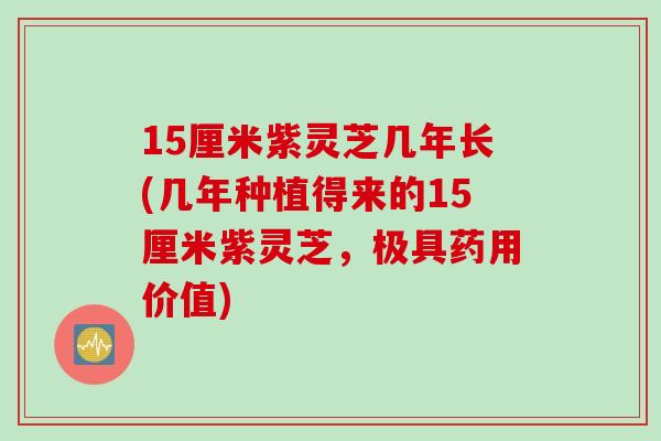15厘米紫灵芝几年长(几年种植得来的15厘米紫灵芝，极具药用价值)