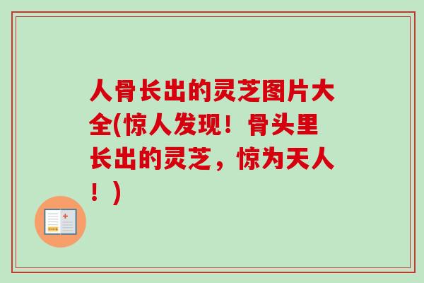 人骨长出的灵芝图片大全(惊人发现！骨头里长出的灵芝，惊为天人！)