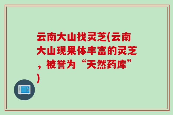 云南大山找灵芝(云南大山现果体丰富的灵芝，被誉为“天然药库”)