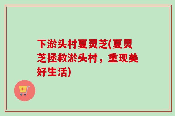 下淤头村夏灵芝(夏灵芝拯救淤头村，重现美好生活)