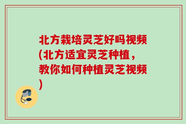 北方栽培灵芝好吗视频(北方适宜灵芝种植，教你如何种植灵芝视频)