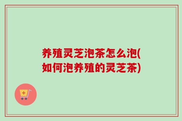 养殖灵芝泡茶怎么泡(如何泡养殖的灵芝茶)