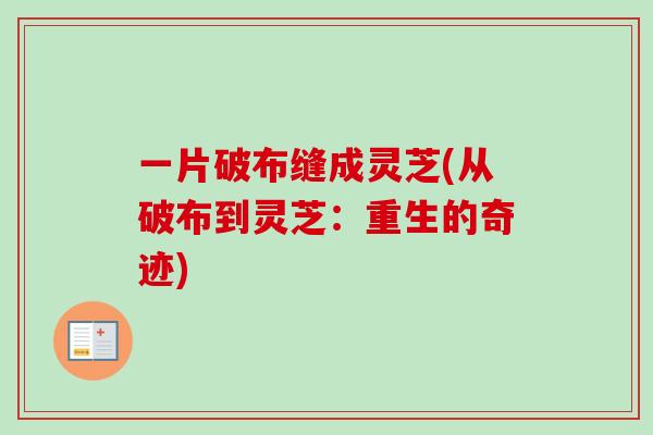 一片破布缝成灵芝(从破布到灵芝：重生的奇迹)