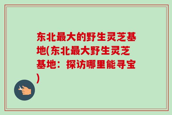 东北最大的野生灵芝基地(东北最大野生灵芝基地：探访哪里能寻宝)