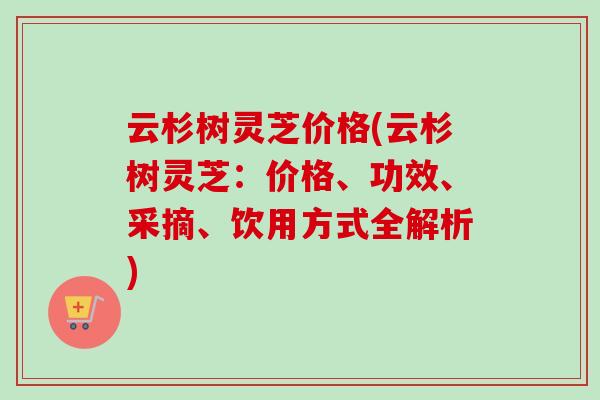 云杉树灵芝价格(云杉树灵芝：价格、功效、采摘、饮用方式全解析)