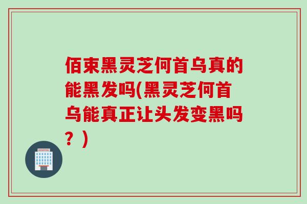 佰束黑灵芝何首乌真的能黑发吗(黑灵芝何首乌能真正让头发变黑吗？)
