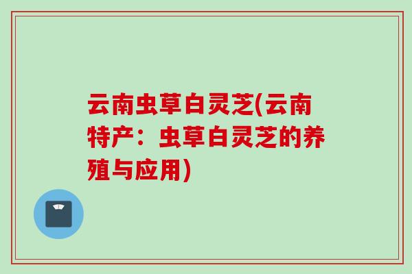 云南虫草白灵芝(云南特产:虫草白灵芝的养殖与应用) 云南虫草白灵芝(云南特产:虫草白灵芝的养殖与应用)