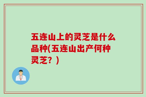 五连山上的灵芝是什么品种(五连山出产何种灵芝？)