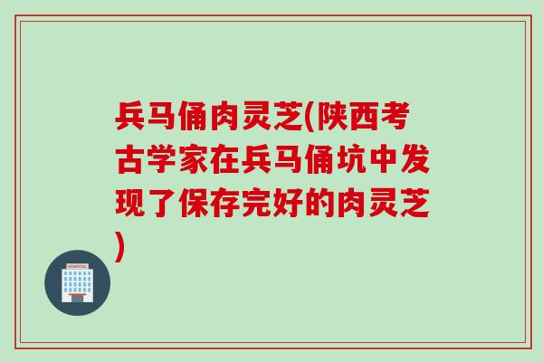 兵马俑肉灵芝(陕西考古学家在兵马俑坑中发现了保存完好的肉灵芝) 兵马俑肉灵芝(陕西考古学家在兵马俑坑中发现了保存完好的肉灵芝)