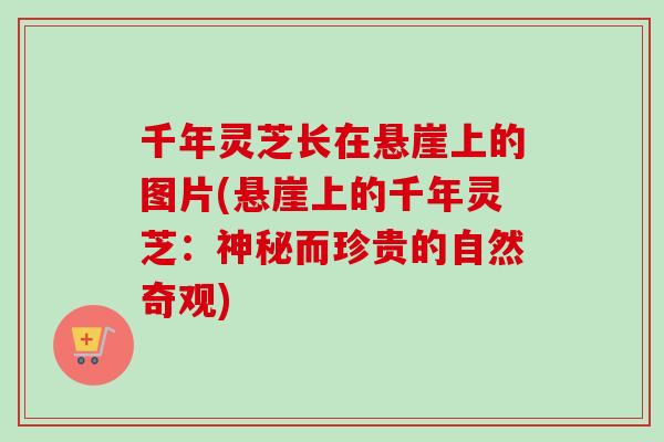 千年灵芝长在悬崖上的图片(悬崖上的千年灵芝：神秘而珍贵的自然奇观)