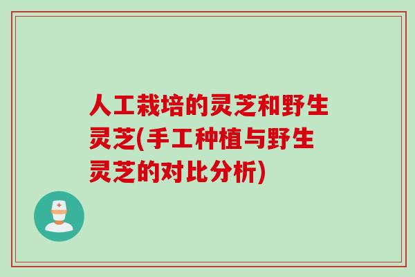 人工栽培的灵芝和野生灵芝(手工种植与野生灵芝的对比分析)