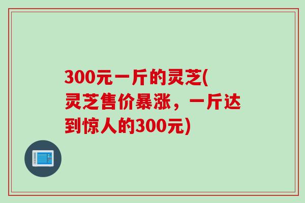 300元一斤的灵芝(灵芝售价暴涨，一斤达到惊人的300元)