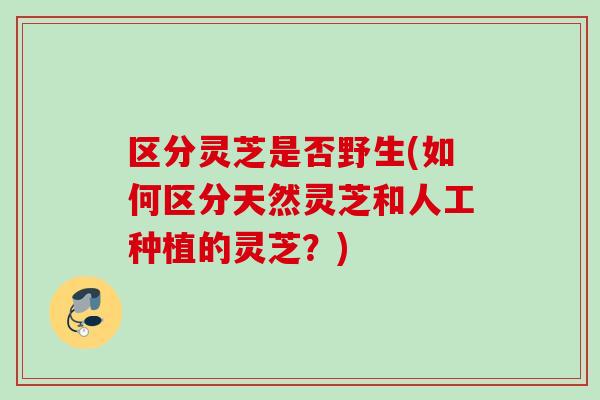 区分灵芝是否野生(如何区分天然灵芝和人工种植的灵芝？)