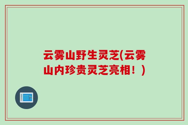 云雾山野生灵芝(云雾山内珍贵灵芝亮相！)