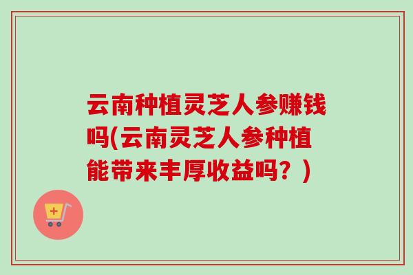 云南种植灵芝人参赚钱吗(云南灵芝人参种植能带来丰厚收益吗？)