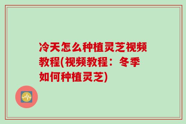 冷天怎么种植灵芝视频教程(视频教程：冬季如何种植灵芝)