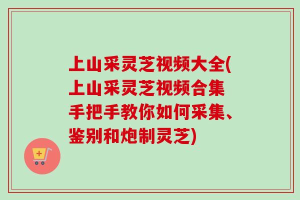 上山采灵芝视频大全(上山采灵芝视频合集 手把手教你如何采集、鉴别和炮制灵芝)