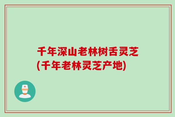 千年深山老林树舌灵芝(千年老林灵芝产地)