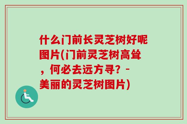 什么门前长灵芝树好呢图片(门前灵芝树高耸，何必去远方寻？- 美丽的灵芝树图片)