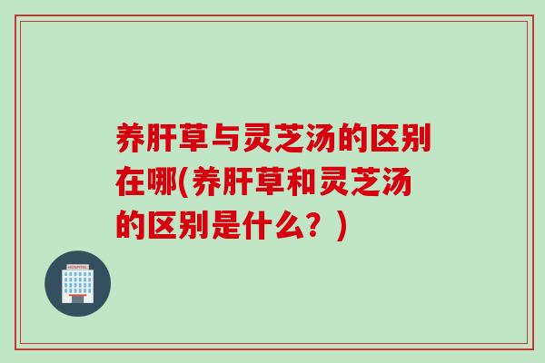 养肝草与灵芝汤的区别在哪(养肝草和灵芝汤的区别是什么？)