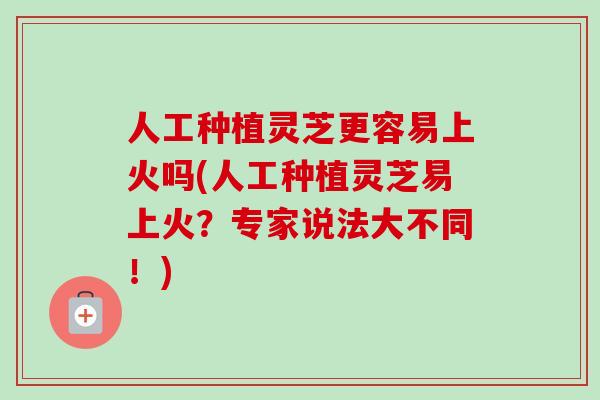 人工种植灵芝更容易上火吗(人工种植灵芝易上火？专家说法大不同！)