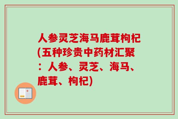 人参灵芝海马鹿茸枸杞(五种珍贵中药材汇聚：人参、灵芝、海马、鹿茸、枸杞)