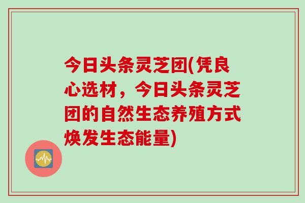 今日头条灵芝团(凭良心选材，今日头条灵芝团的自然生态养殖方式焕发生态能量)