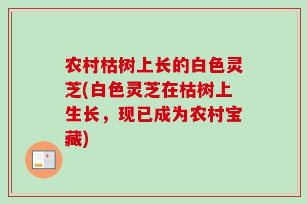 农村枯树上长的白色灵芝(白色灵芝在枯树上生长，现已成为农村宝藏)